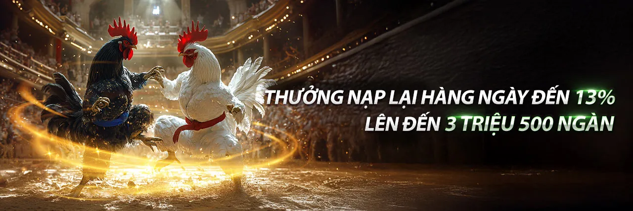 Nền tảng giải trí trực tuyến B888